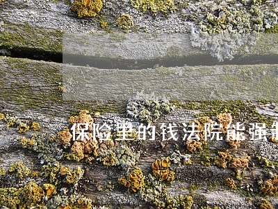 保险里的钱法院能强制执行吗 保险里的钱法院能强制执行吗