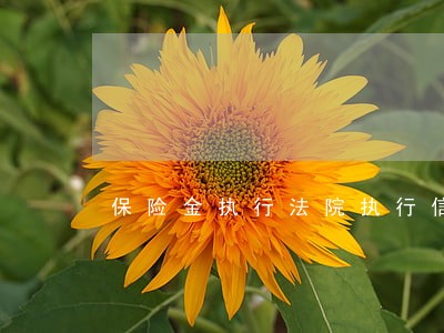 保险金执行法院执行信息简报 保险金执行法院执行信息简报