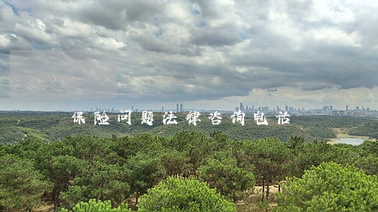 保险问题法律咨询电话 保险问题法律咨询电话