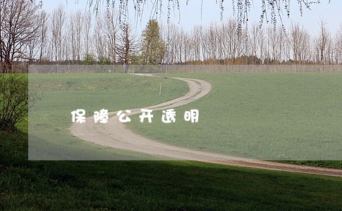 保障公开透明 保障公开透明
