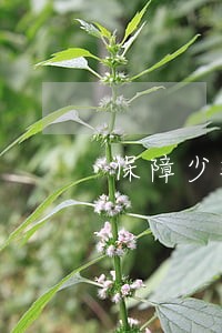 保障少数民族群众诉讼权利 保障少数民族群众诉讼权利