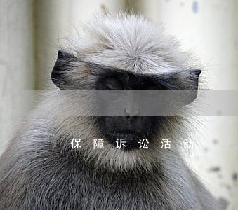 保障诉讼活动