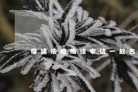 保靖法院依法审结一起合同纠纷 保靖法院依法审结一起合同纠纷