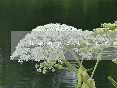 俞敏的经济法怎么样啊水不水 俞敏的经济法怎么样啊水不水