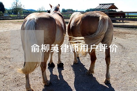 俞柳英律师用户评价 俞柳英律师用户评价