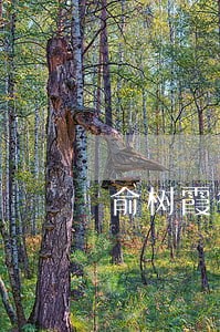 俞树霞律师解答了律师您好 俞树霞律师解答了律师您好