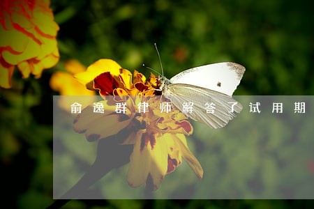 俞逸群律师解答了试用期两个月 俞逸群律师解答了试用期两个月