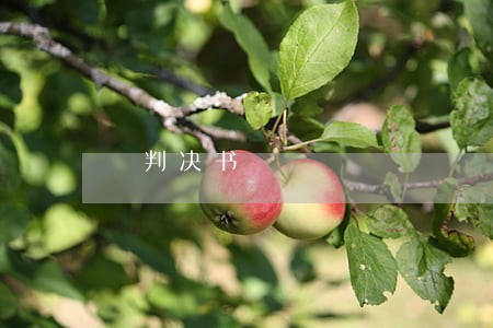 俠判决书