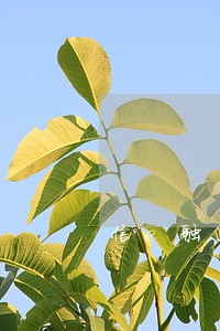 信e融逾期 信e融逾期