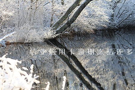 信业信用卡逾期冻结还多了钱怎么取出来 信业信用卡逾期冻结还多了钱怎么取出来