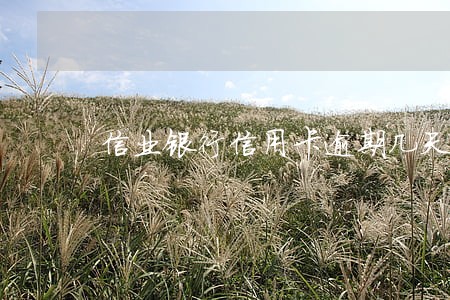 信业银行信用卡逾期几天