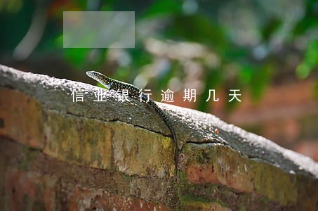 信业银行逾期几天 信业银行逾期几天