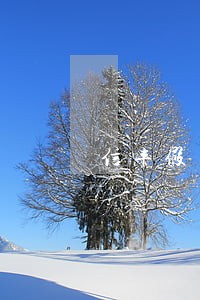 信丰假冒专利罪辩护纠纷律师 信丰假冒专利罪辩护纠纷律师