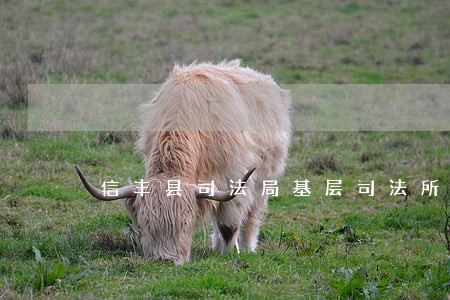 信丰县司法局基层司法所工作人员 信丰县司法局基层司法所工作人员