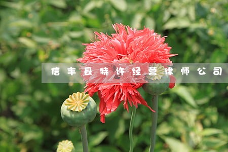 信丰县特许经营律师公司 信丰县特许经营律师公司