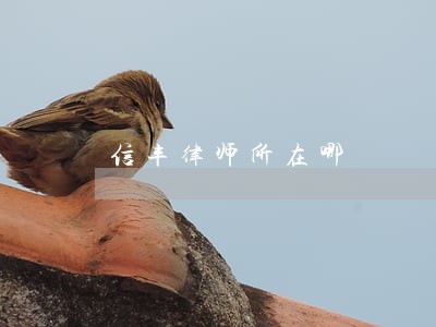 信丰律师所在哪 信丰律师所在哪