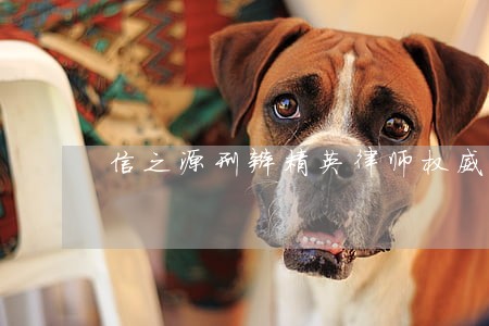 信之源刑辩精英律师权威解答 信之源刑辩精英律师权威解答
