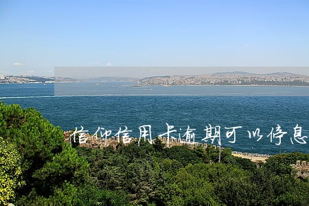 信仰信用卡逾期可以停息吗