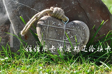 信信用卡有逾期还给换卡吗