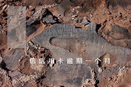 信信用卡逾期一个月