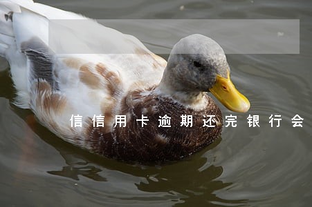信信用卡逾期还完银行会销卡吗 信信用卡逾期还完银行会销卡吗