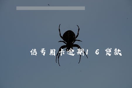 信号用卡逾期16贷款 信号用卡逾期16贷款