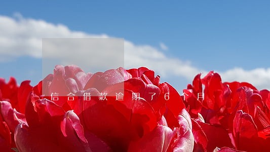 信合借款逾期了6个月 信合借款逾期了6个月