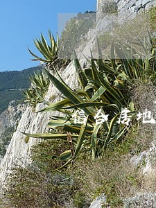 信合房地产律师 信合房地产律师
