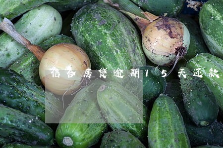 信合房贷逾期15天还款的后果 信合房贷逾期15天还款的后果