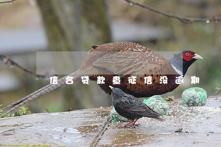 信合贷款查征信没逾期 信合贷款查征信没逾期