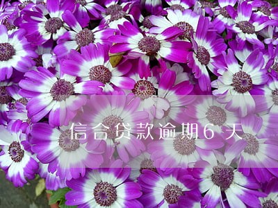 信合贷款逾期6天 信合贷款逾期6天