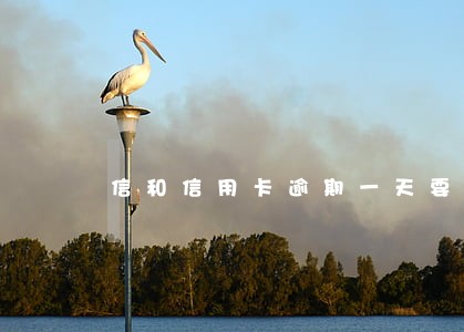信和信用卡逾期一天要紧吗 信和信用卡逾期一天要紧吗
