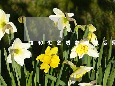 信和汇金贷款逾期后果