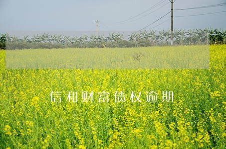 信和财富债权逾期 信和财富债权逾期