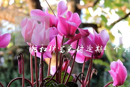 信和财富兑付逾期4个月 信和财富兑付逾期4个月