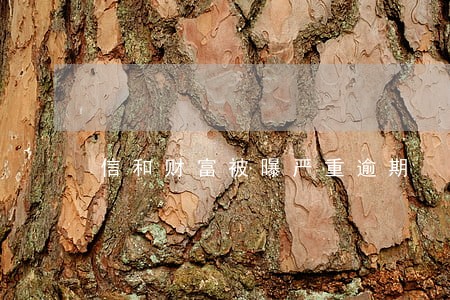 信和财富被曝严重逾期 信和财富被曝严重逾期