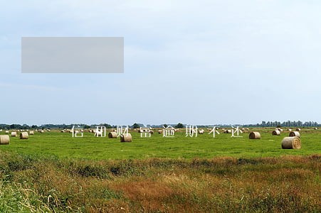 信和财富逾期不还 信和财富逾期不还