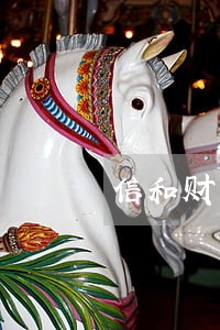 信和财富逾期苏州的有人吗