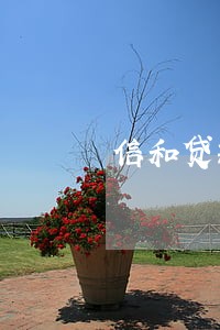 信和贷款逾期上征信吗 信和贷款逾期上征信吗