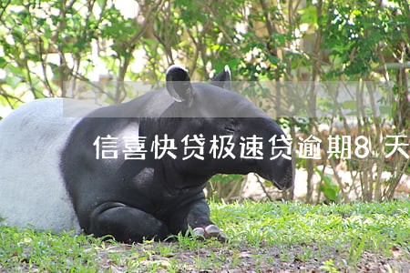 信喜快贷极速贷逾期8天