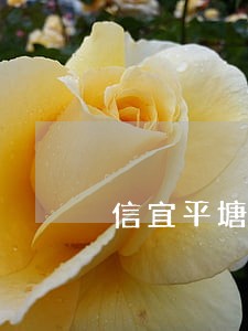 信宜平塘镇债权债务律师 信宜平塘镇债权债务律师