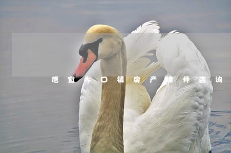信宜水口镇房产律师咨询 信宜水口镇房产律师咨询