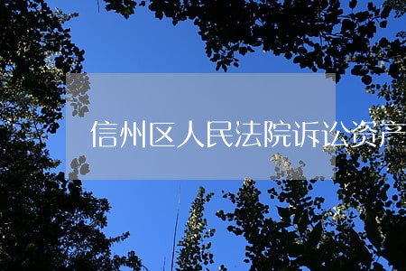 信州区人民法院诉讼资产网