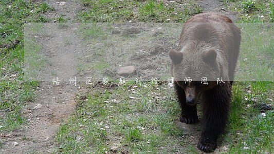 信州区家庭纠纷律师团队 信州区家庭纠纷律师团队
