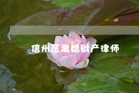 信州区离婚财产律师 信州区离婚财产律师
