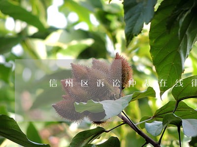 信州区诉讼仲裁在线律师 信州区诉讼仲裁在线律师