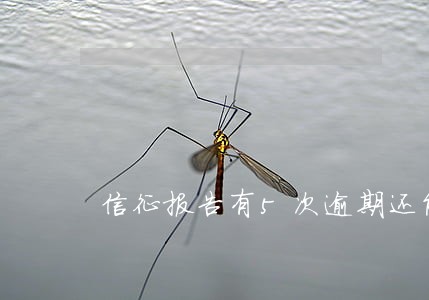 信征报告有5次逾期还能贷款 信征报告有5次逾期还能贷款