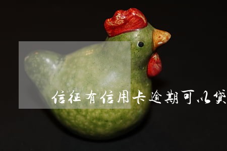 信征有信用卡逾期可以贷款吗