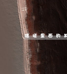 信征里面的其他贷款有逾期 信征里面的其他贷款有逾期