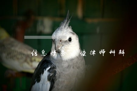 信息债务清偿律师辩解 信息债务清偿律师辩解